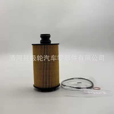 For Ssangyong/Korando – Shuanglong Oil filter