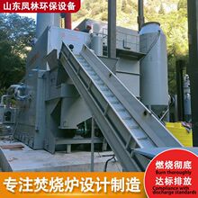 垃圾焚烧炉工业废弃物环保无烟味高温热解设备宠物猫狗尸体焚化炉