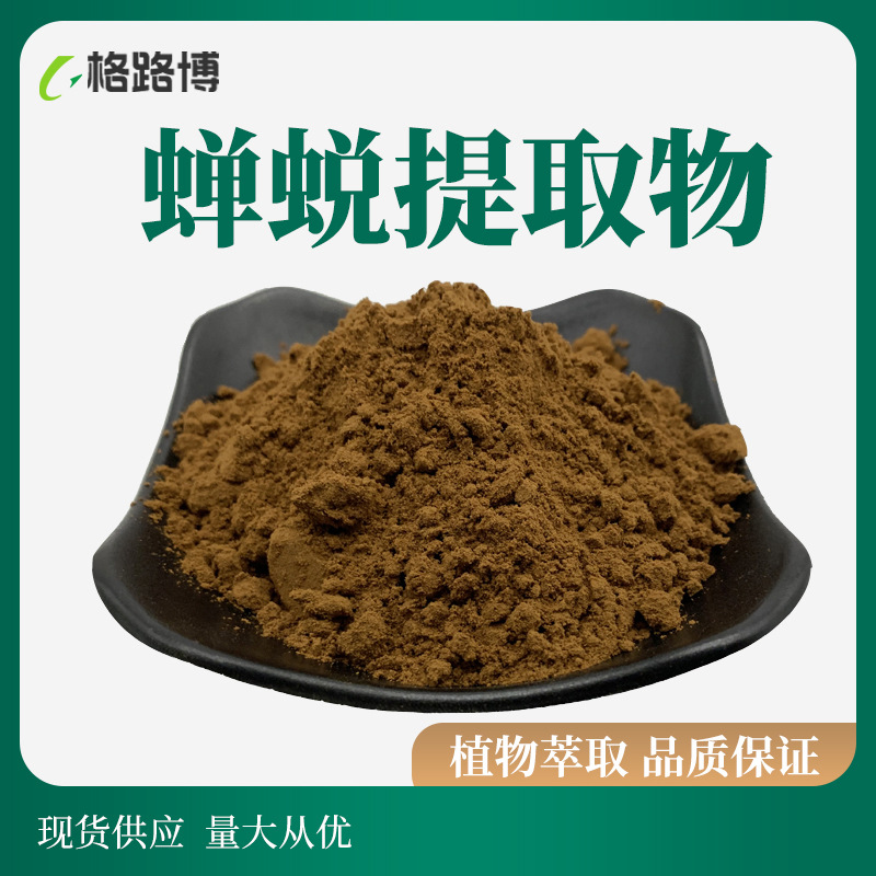蝉蜕提取物规格齐全高比例规格现货供应批发蝉蜕粉 蝉衣提取