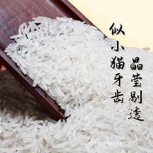 �°��b���P�~؈�����L������10kg��ͥ�b20��i���ͶY�Ї���ꑳ���