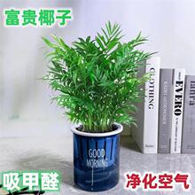 ���FҬ�Ә�ֲ���҃��k���ҿ͏dˮ��Gֲ��������Ҭ�������҃Ȼ���