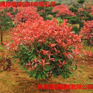 �t�~ʯ骴�С�����ļ����ඬ����S��Ůؑ����t����ͥԺ�G�����]