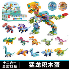 �羳195A��������ľ����ߵ�ä�ж�ͯ����ƴװ����׶�԰�������