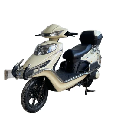 Ce Certification, Elektrikli motosikletlər