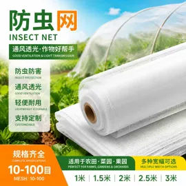 防虫网;窗纱;其他塑料网