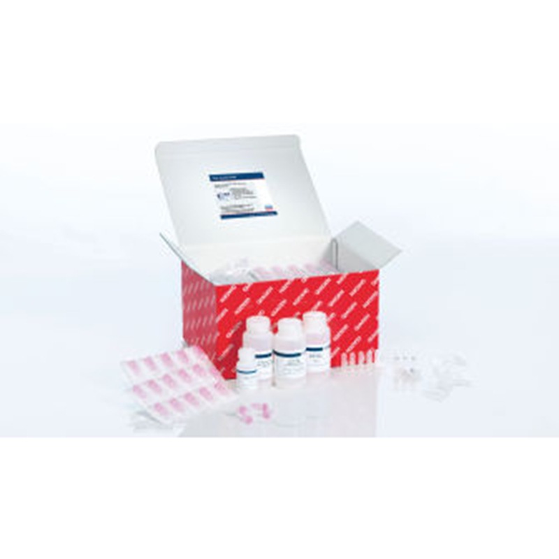 74136 QIAGEN 凯杰 RNeasy Plus Mini Kit (250)提RNA试剂