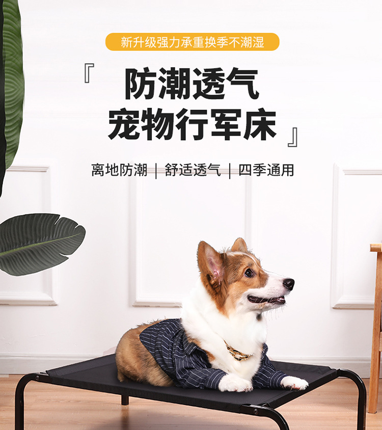 详情_01