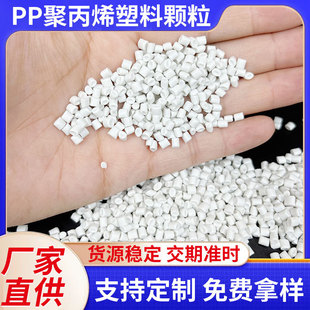 PP polypropylene plastic particles porcelain white low pressure plastic barrel crushing granulator PP recycled particles