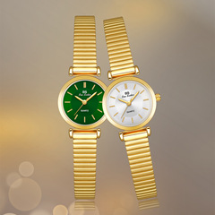 BS正新款熱銷廠家直銷外貿輕奢簡約氣質女小綠金表FA1690竹節帶