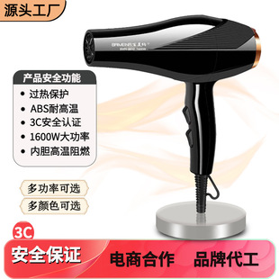 Cross-border new hair dryer household hair dryer hair salon negative ion multi-stage temperature control barber shop hair dryer 110V