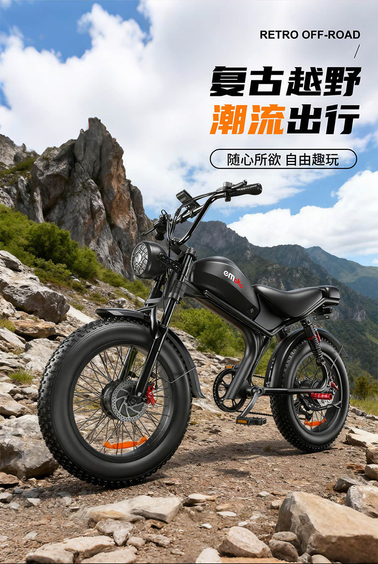 20-inch Fat Tire C93 Dual Drive E-Bike Mountain Off-Road Commuter