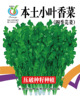 Small packaging Various vegetable seeds 8*10 cm small packaging can be used as gift vegetable seed factories wholesale