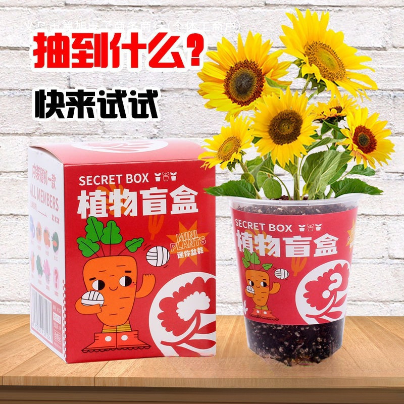 幼儿园六一儿童节小礼品生日分享全班伴手礼儿童玩具实用毕业礼物|undefined