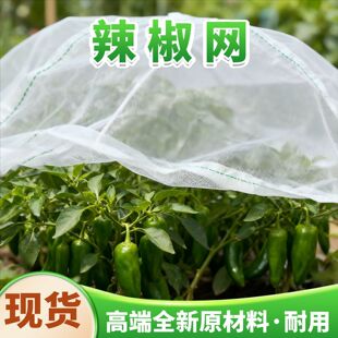 Sl40ĿWѽzϻܴNֲ߾WֲپW