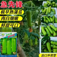 �G�I�ഺ/����ϷN�Ѵ�����������߮a����ӹϷN�����ļ��߲�