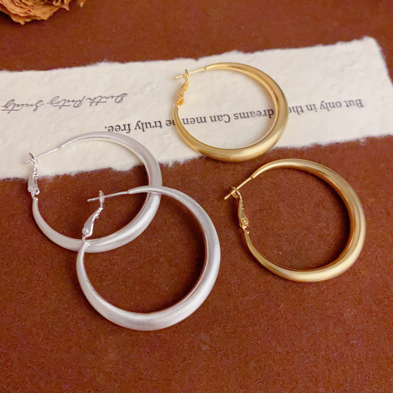 European and American Simple Brushed Metal Hoop Earrings S925 Silver Needle Versatile Minimalist Style Earrings for Women 2025 New Model