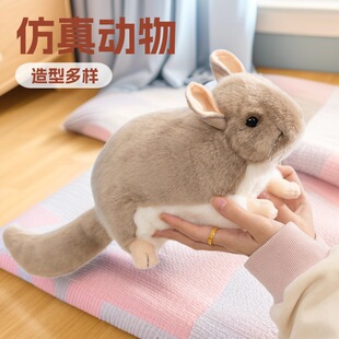 �羳������؈����ſ����؈��ż����@���μo��Ʒë�q��߃�ͯ�Y��