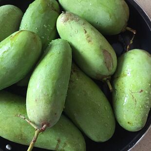 ������â��5������â�V����ɫ�a���rˮ���ļ����1/2/3����â��2