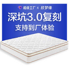 金珂儿深坑3.0抗螨席梦思静音独立弹簧乳胶床垫五星级酒店同款