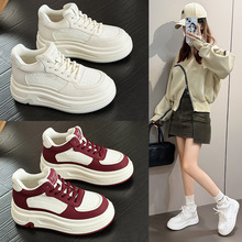 ��Ĥ�����Ƥ�ߎ�ЬŮ2026�����¿�ŮЬ��ů�Ӻ�q�����\�����eЬ