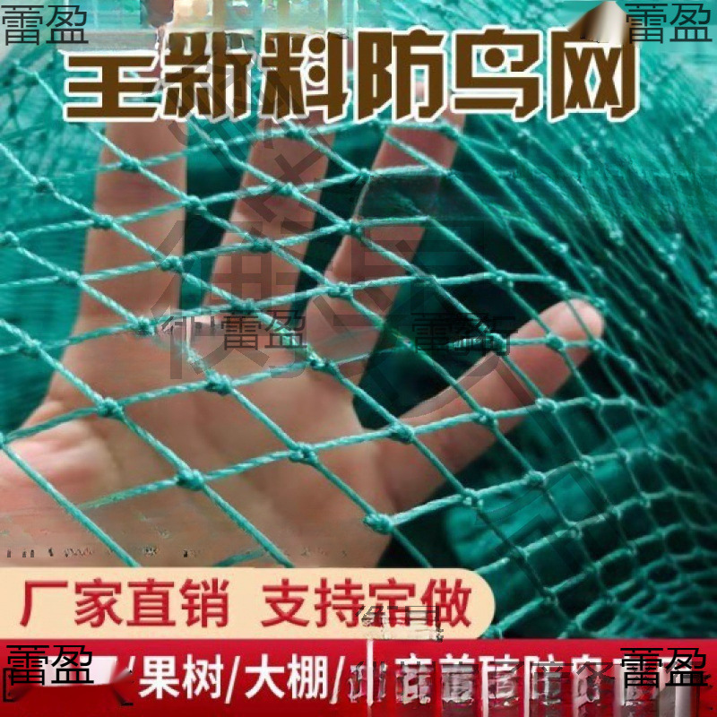防鸟用网果树樱桃葡萄大棚果园农用防鸟网鱼塘养殖天网尼龙防老化
