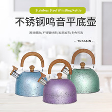 跨境专供不锈钢水壶锤纹平底壶鸣音壶烧水壶whistling kettle