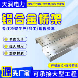 铝合金电缆桥架阻燃冷弯配电输电铝型材电缆走线架铝合金桥架