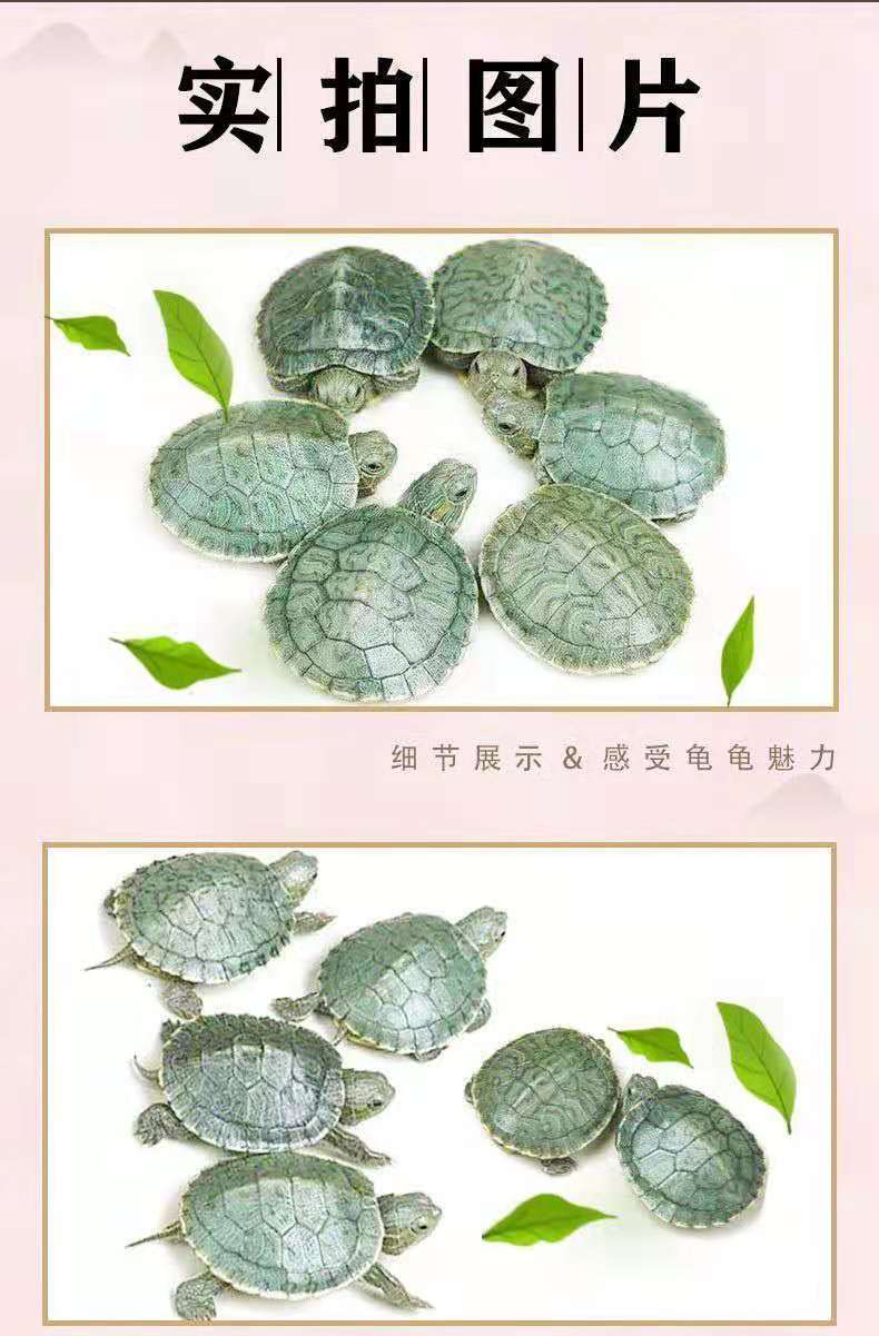 14ec029c-a16b-4ec2-80f2-d1b0ddeabf3f.jpe