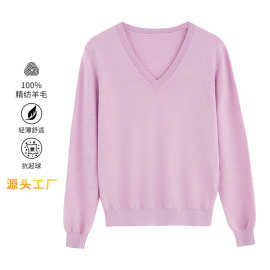 欧美跨境秋冬新款100%纯美丽诺羊毛衫V领女士针织衫紫色长袖毛衣