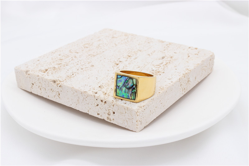 Men's Gender Casual Simple Style Geometric 304 Stainless Steel Shell 18K Gold Plated Men's Rings