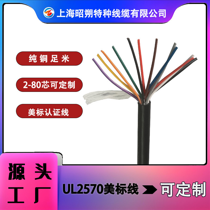 Professional Production of Ul2570 American Standard Cable Manufacturers - Flexible Sheathed Wire Ul Certification, Free Sample