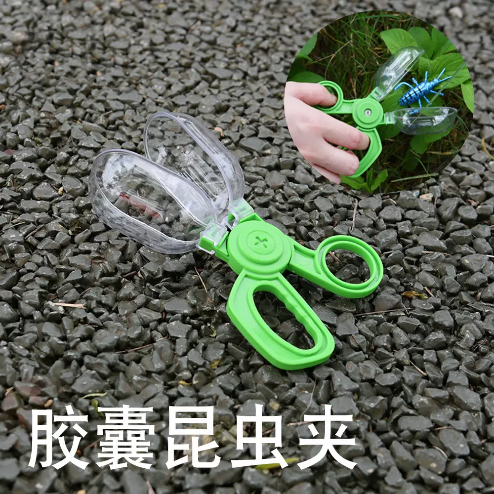 儿童户外大号捕虫夹捕捉蝴蝶昆虫塑料夹子 昆虫胶囊夹剪刀夹玩具