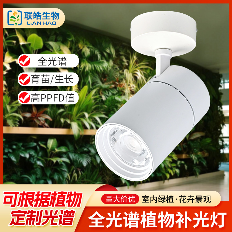 LED plant lamp