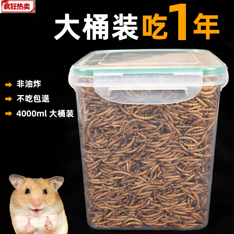 Dried Mealworm Snacks for Hamsters, Specialized Nutritional Food for Golden Hamsters, Main Food, Dried Mealworms, Large Capacity
