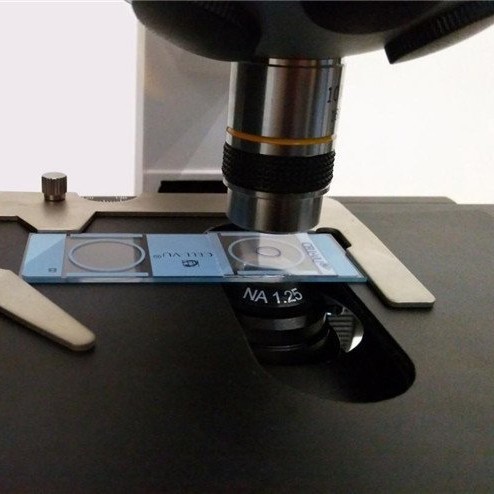 2025-11-01 14:20:39.jpg