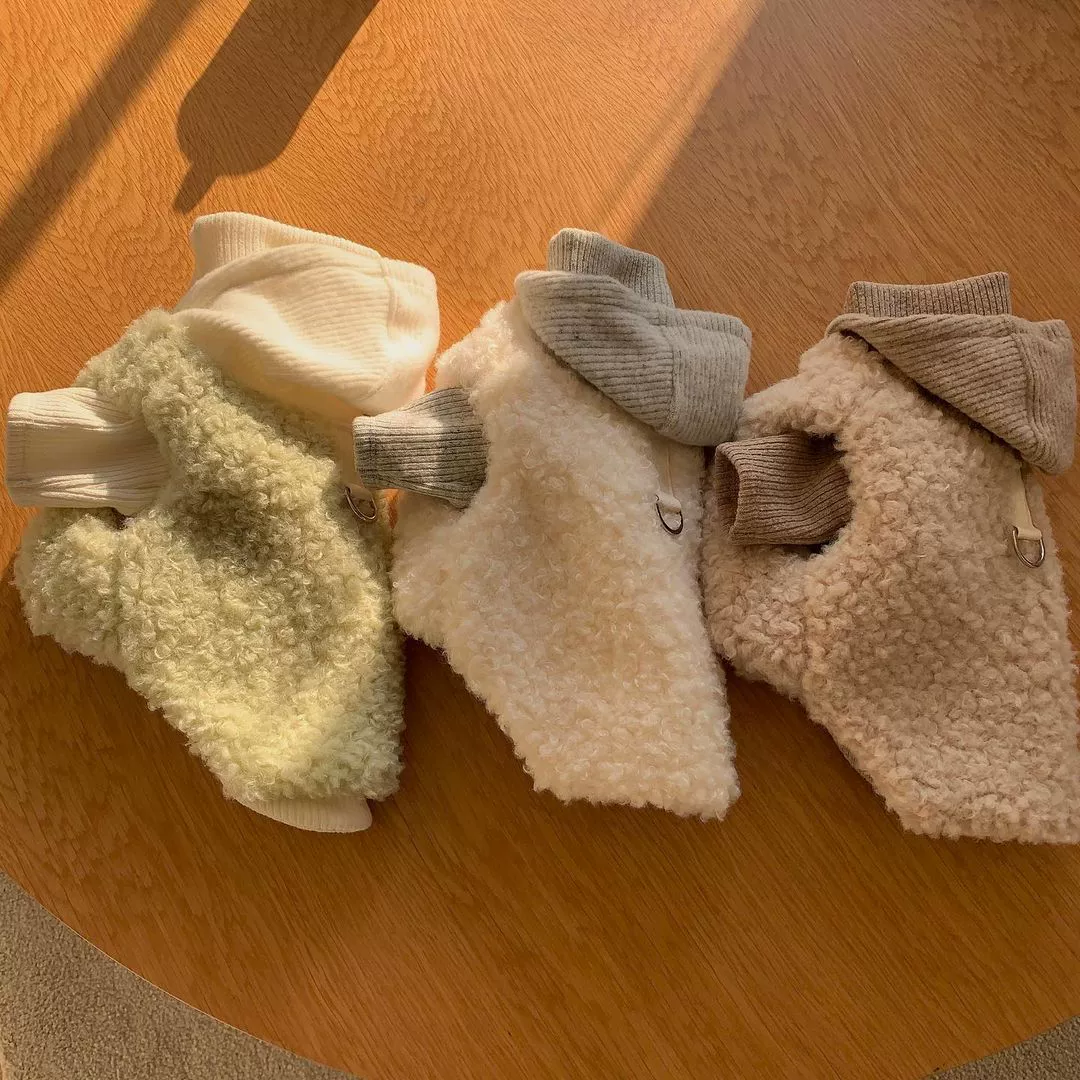 Осенне-Зимний новый жилет с капюшоном и вышивкой для домашних животных Горький медведь Бом Шнауцер Тедди Маленькая собака Кошка Одежда