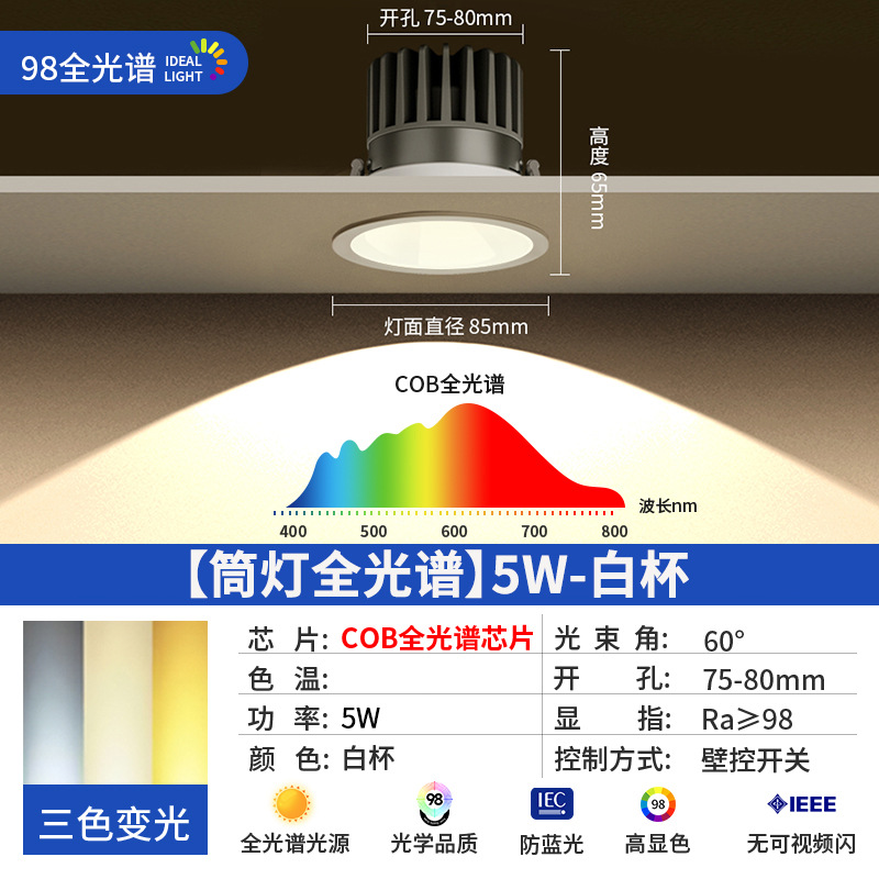 [full spectrum downlight] 5w-white cup