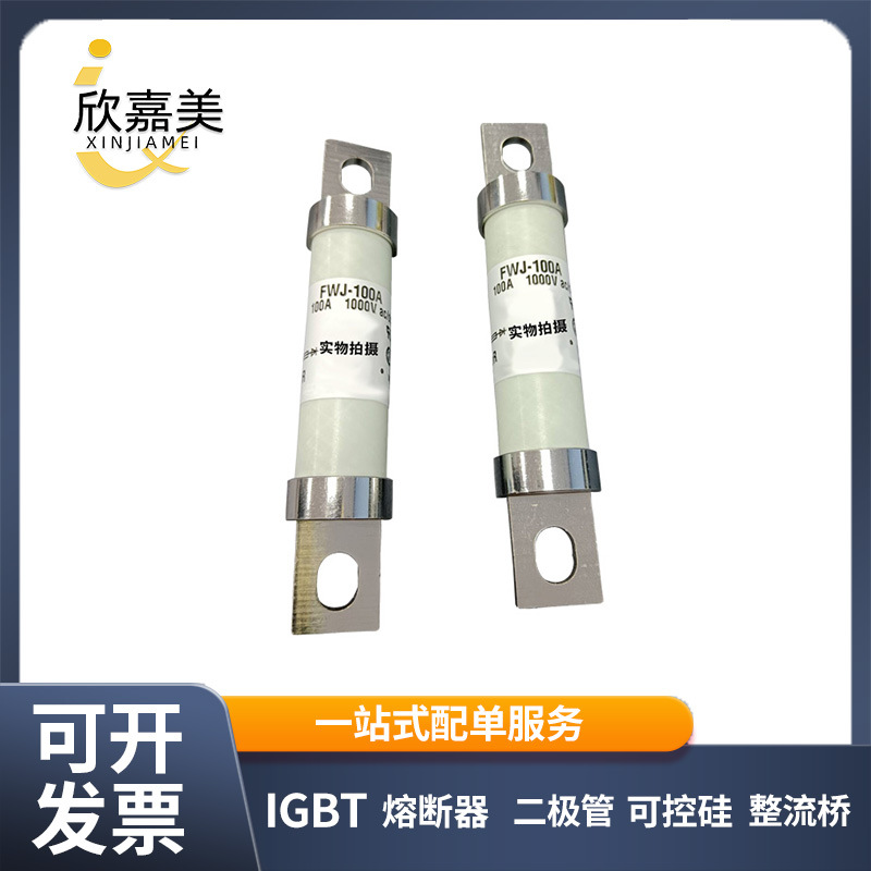 FWJ-100A FWJ-120A 快速熔断器  保险丝 电子元器件 量大价优