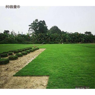 ���Ƥ��݄e��ͥԺ�G���R������̺���ͺ���ƺ���������̨��̫��