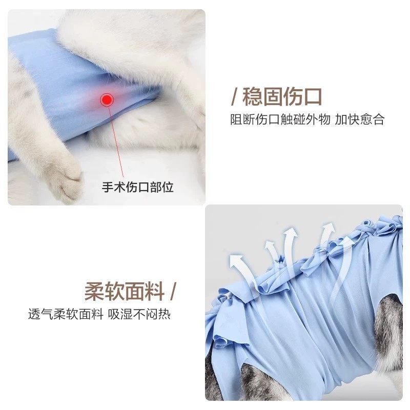 猫咪绝育服母猫手术服衣服透气戒奶服奶服公猫防舔术后宠物猫猫|undefined