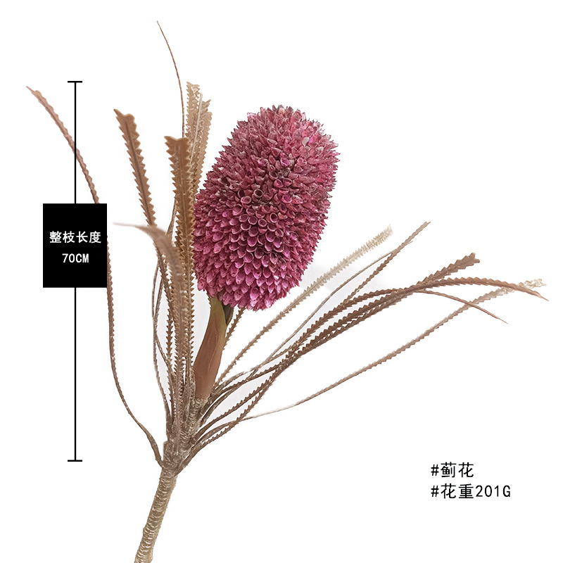 보라색