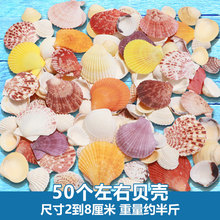 天然贝壳海螺鱼缸造景装饰小摆件水族箱布景套装龟缸底砂装饰品