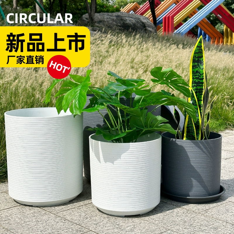 Изысканная маленькая зеленая смола пластиковая домашняя райская птица тигровая пила