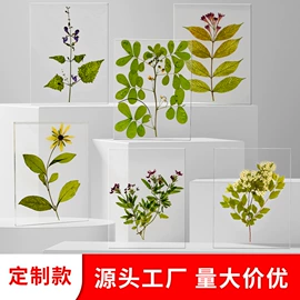 树脂工艺品;标本;工艺礼品项目