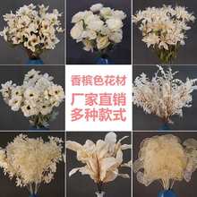 �㙉ɫ��10֦�b����õ���Y�b�ˇ��c��������·���廨