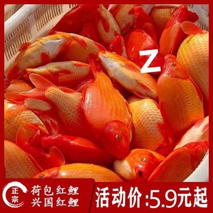 �ɰ��t���~���d���t���~�絾��t���~�����ʳ�õ�ˮ�Bֳ�^�p�~��