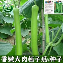 ���۴�����ӹϷN���L��ˮ���߲˷N�Ӵ�����ø߮a�����׷N����