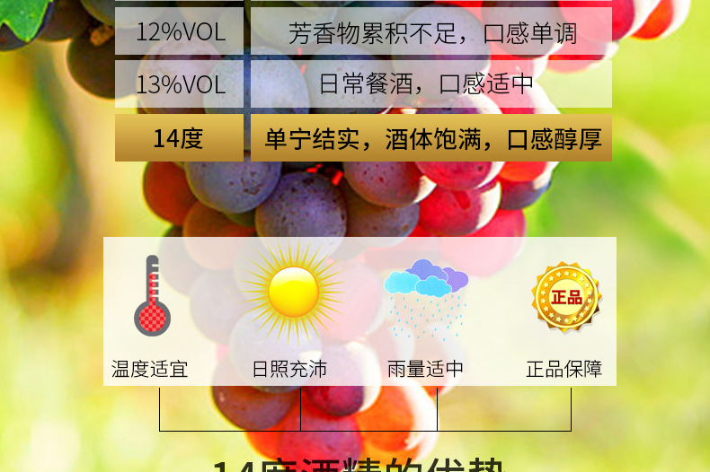 伽歌图昂·天鹅皇后-详情_10