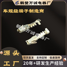 12052466 12064971 12160812  ���a�����܇�����B�����Ӿ�����