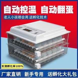 [Factory Direct Sales] Fully Automatic Incubator Chicken, Duck, Goose, Pigeon and Bird Incubator Household Small Incubator Egg Incubator